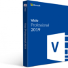 MICROSOFT Visio 2019 Professional License – 1PC