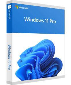 Windows 11 Professional Key Global for 1 PC