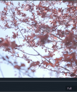 Wondershare Filmora X 11 Windows