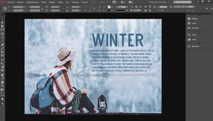 Adobe InDesign 2024 