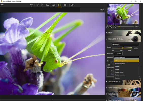 inPixio Photo Studio Ultimate 12