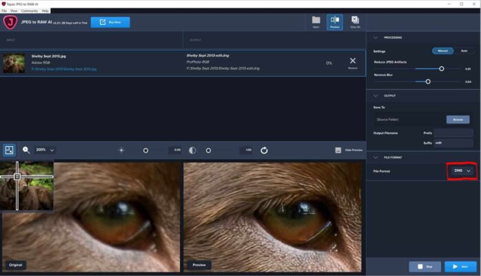 Topaz JPEG to RAW AI 2